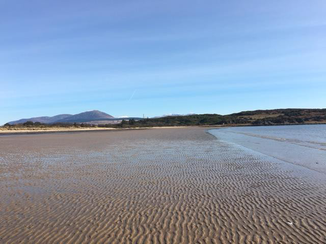 picture of local beach